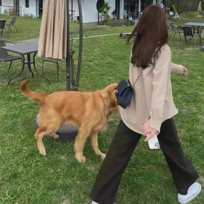 飙速拦截